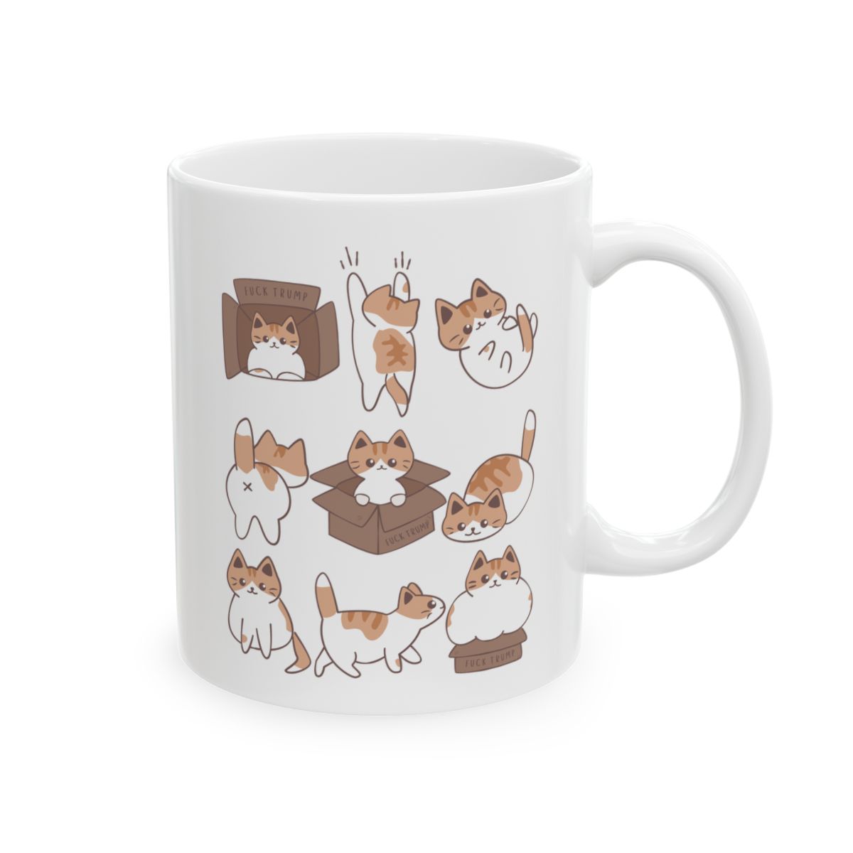Subtle Fuck Trump Calico Cat Hidden Message Mug